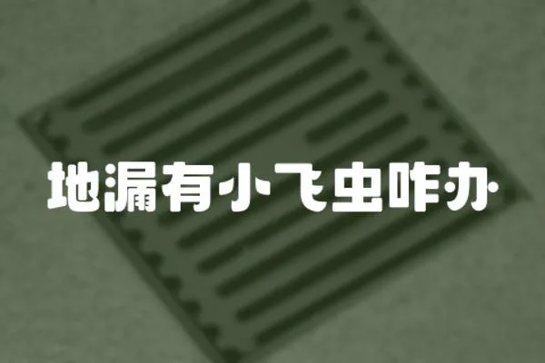 地漏有小飛蟲咋辦