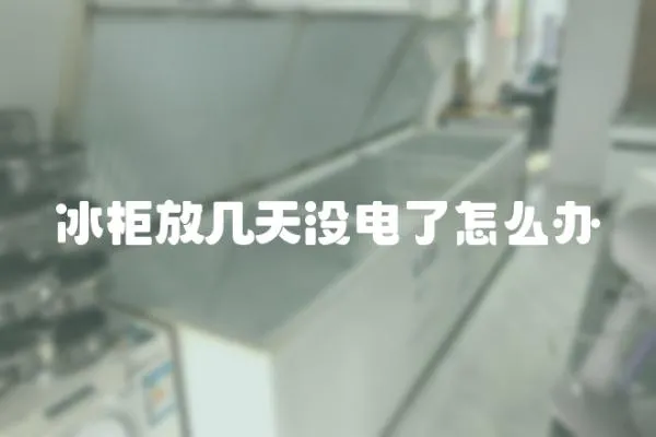冰柜放幾天沒電了怎么辦