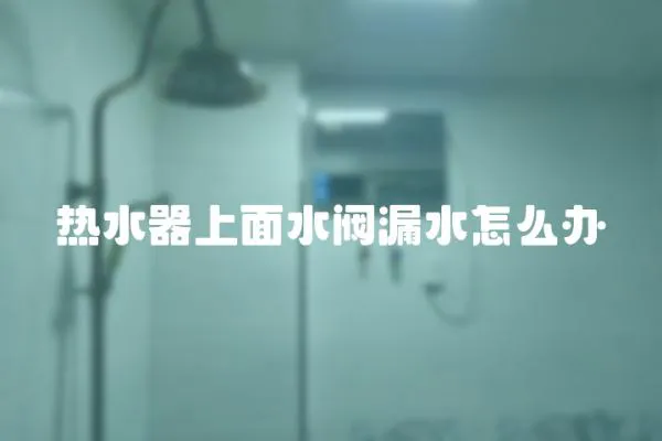 熱水器上面水閥漏水怎么辦