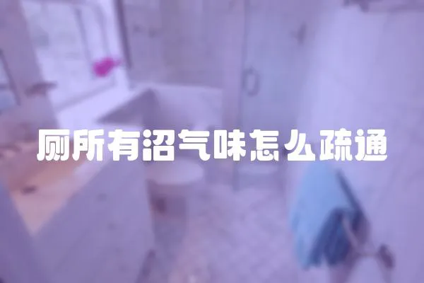 廁所有沼氣味怎么疏通