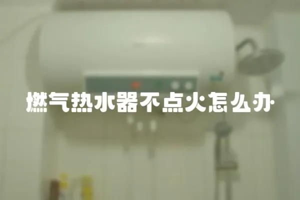 燃氣熱水器不點火怎么辦