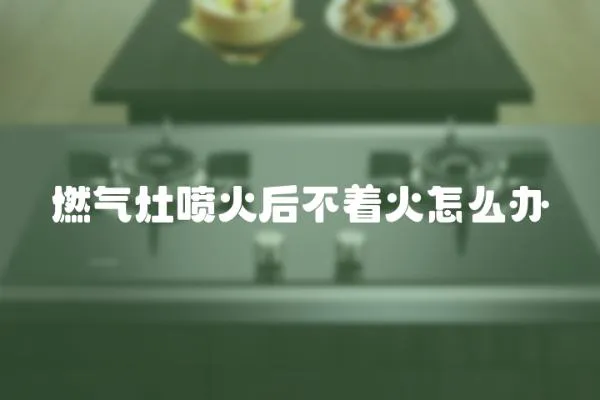 燃氣灶噴火后不著火怎么辦