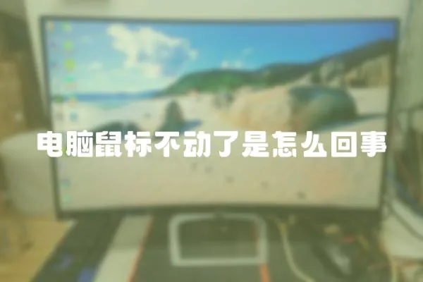 電腦鼠標不動了是怎么回事