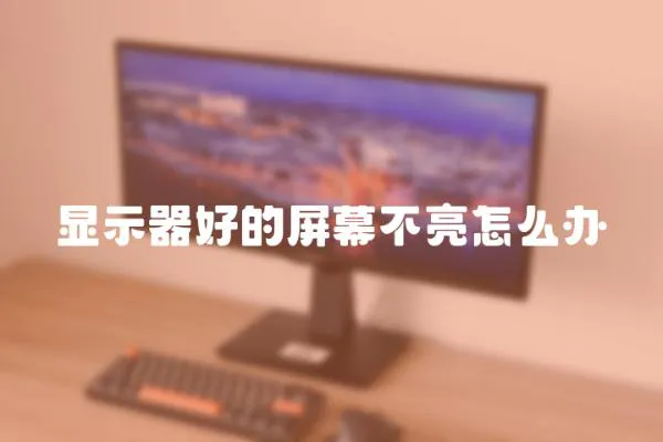 顯示器好的屏幕不亮怎么辦