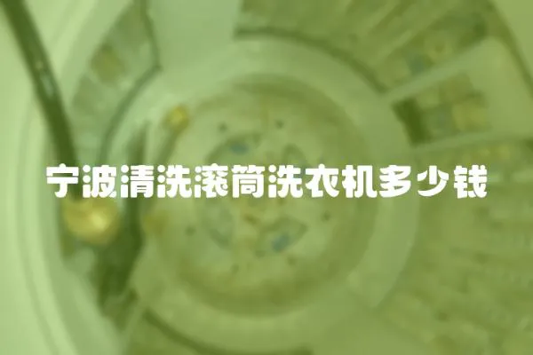 寧波清洗滾筒洗衣機多少錢