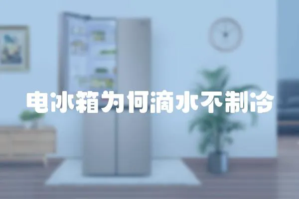 電冰箱為何滴水不制冷