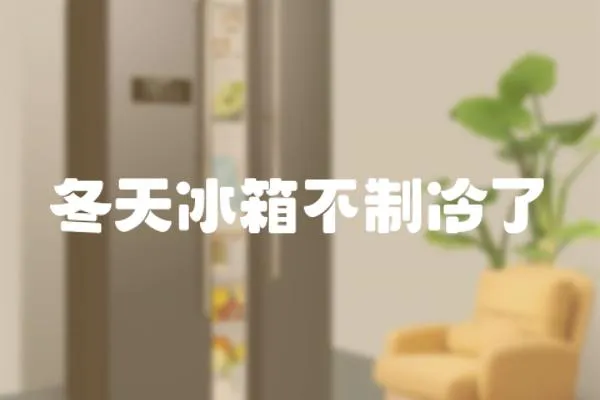 冬天冰箱不制冷了