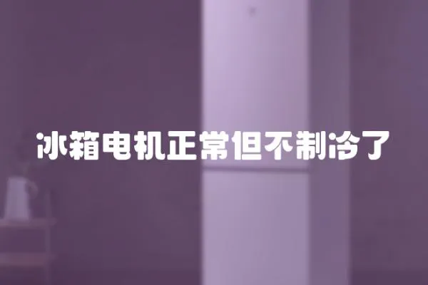 冰箱電機正常但不制冷了
