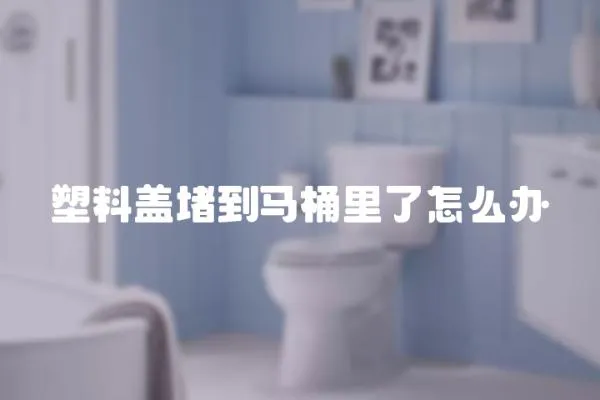 塑料蓋堵到馬桶里了怎么辦