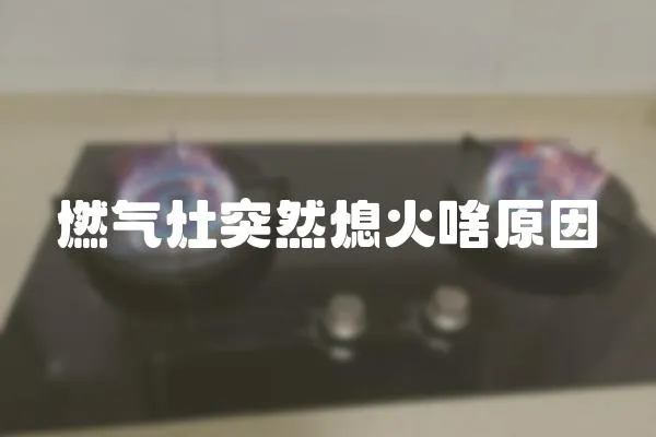 燃氣灶突然熄火啥原因