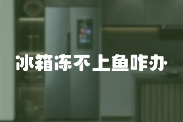 冰箱凍不上魚咋辦