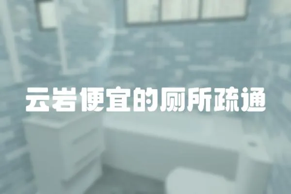 云巖便宜的廁所疏通