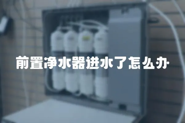 前置凈水器進水了怎么辦