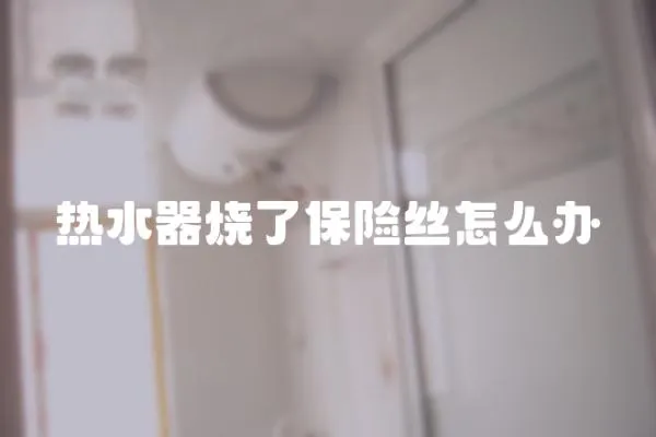 熱水器燒了保險(xiǎn)絲怎么辦