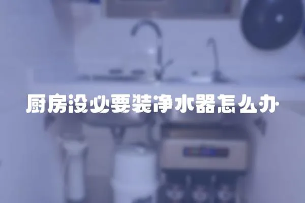 廚房沒必要裝凈水器怎么辦
