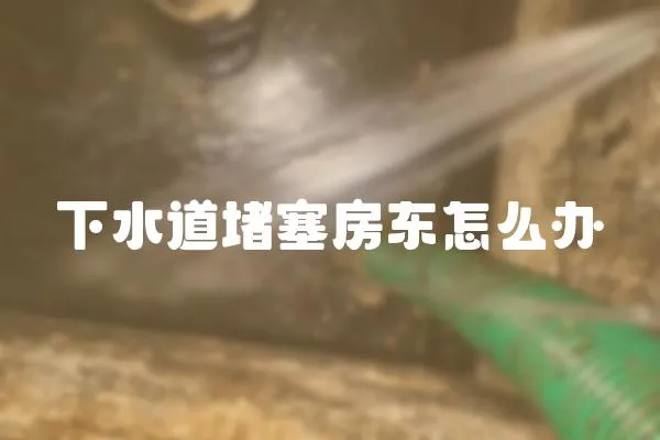 下水道堵塞房東怎么辦