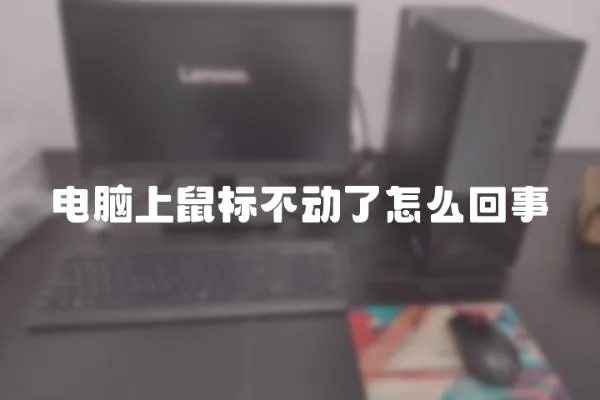 電腦上鼠標(biāo)不動(dòng)了怎么回事
