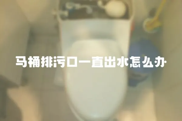 馬桶排污口一直出水怎么辦