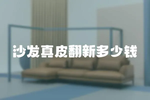 沙發真皮翻新多少錢