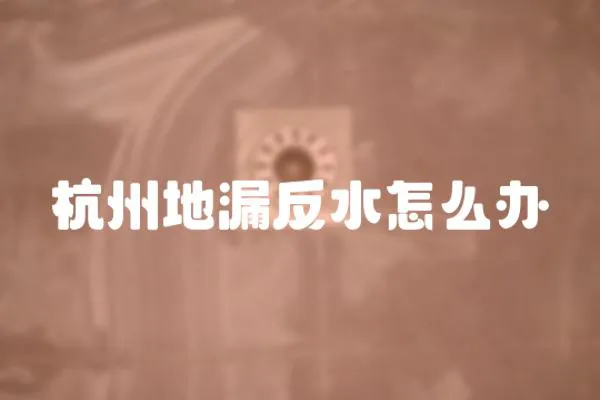 杭州地漏反水怎么辦