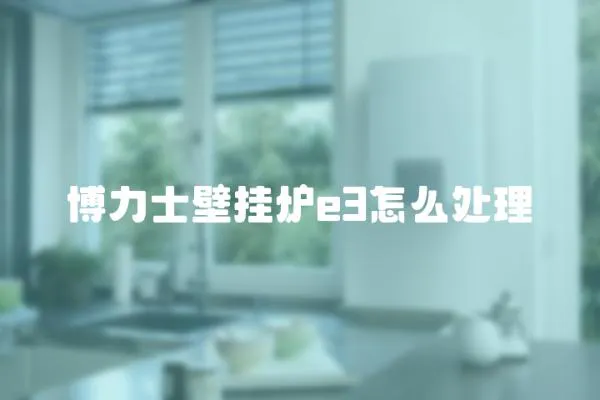 博力士壁掛爐e3怎么處理