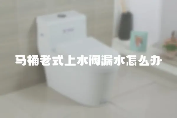 馬桶老式上水閥漏水怎么辦