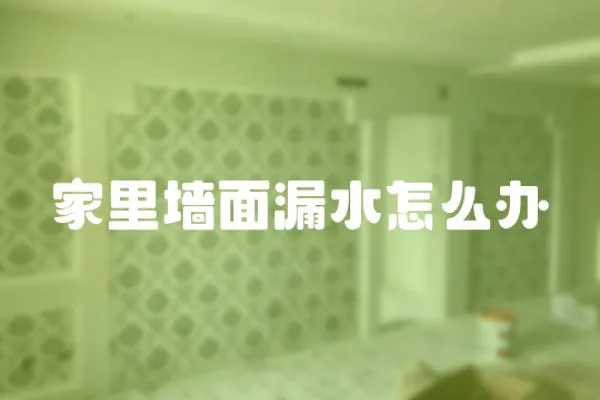 家里墻面漏水怎么辦