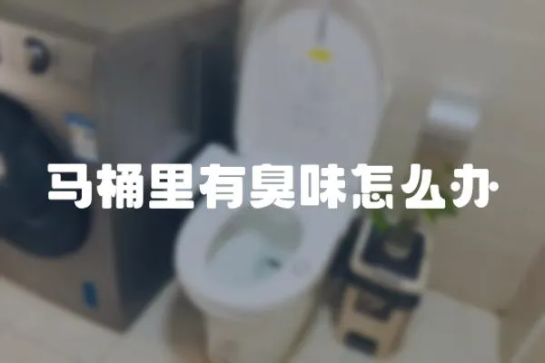 馬桶里有臭味怎么辦