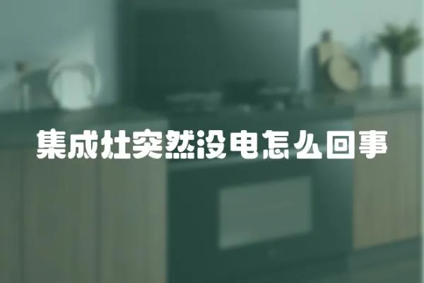 集成灶突然没电怎么回事