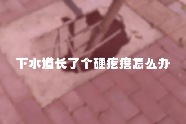 下水道長(zhǎng)了個(gè)硬疙瘩怎么辦