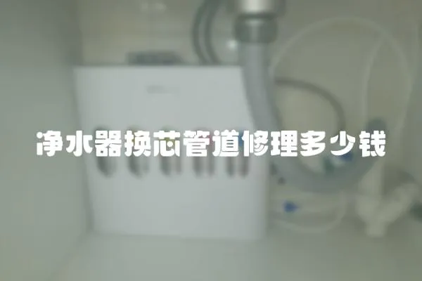 凈水器換芯管道修理多少錢