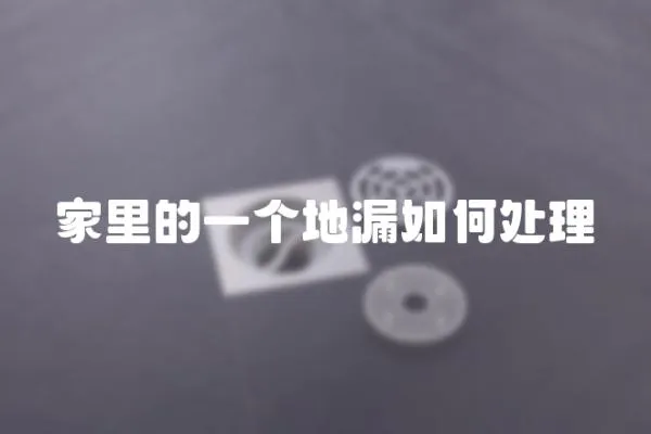 家里的一個地漏如何處理