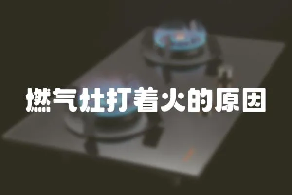 燃?xì)庠畲蛑鸬脑?></a></div>
                    <div   id=