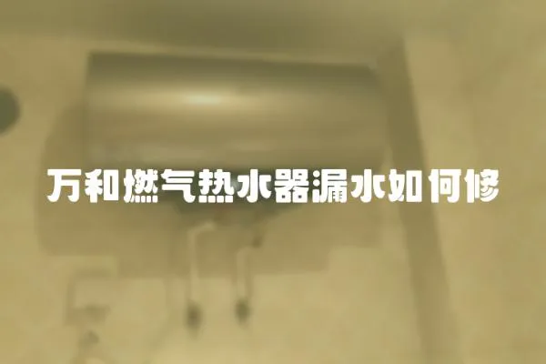 万和燃气热水器漏水如何修