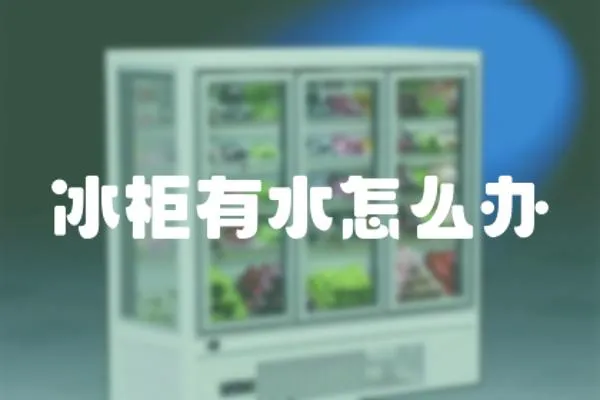 冰柜有水怎么辦