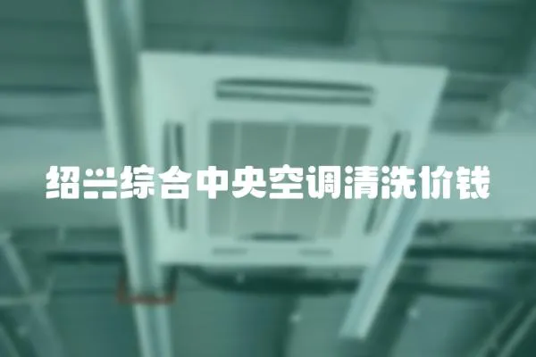 绍兴综合中央空调清洗价钱