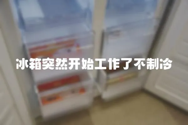 冰箱突然開始工作了不制冷