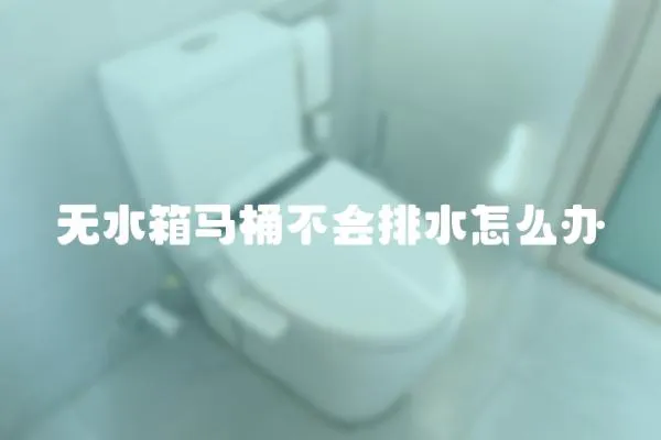 無水箱馬桶不會排水怎么辦