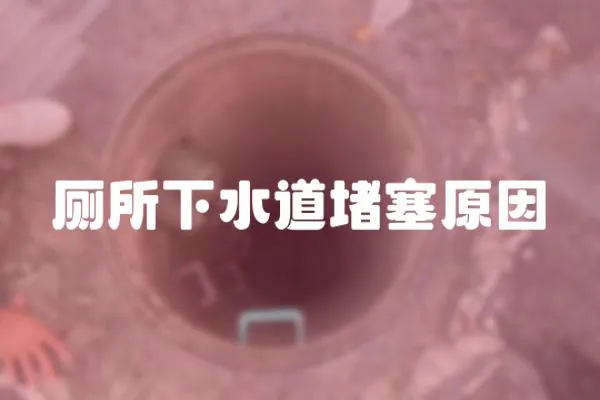 廁所下水道堵塞原因