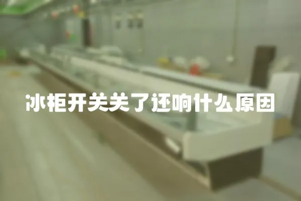 冰柜開關關了還響什么原因