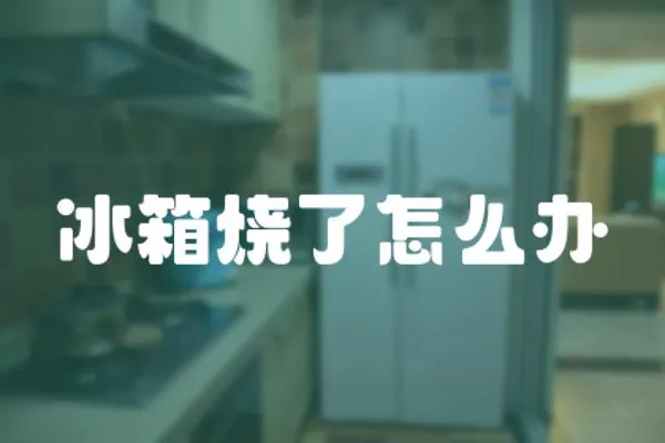 冰箱燒了怎么辦