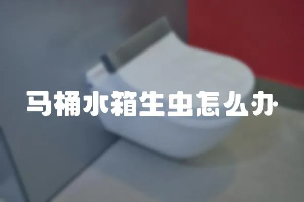 馬桶水箱生蟲怎么辦