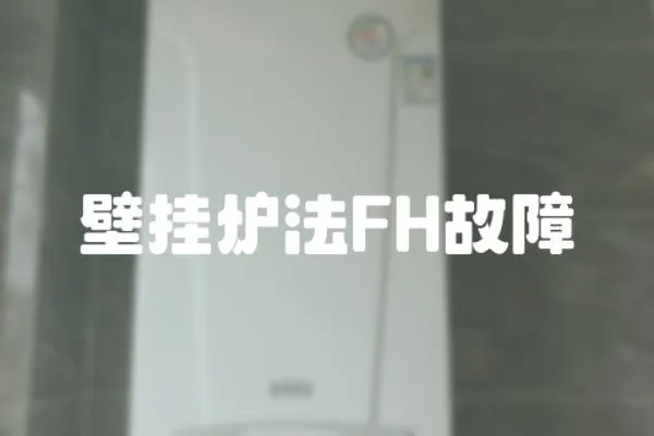 壁掛爐法FH故障