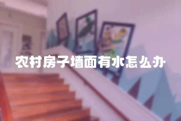 農村房子墻面有水怎么辦