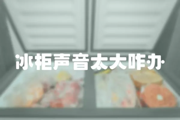 冰柜聲音太大咋辦