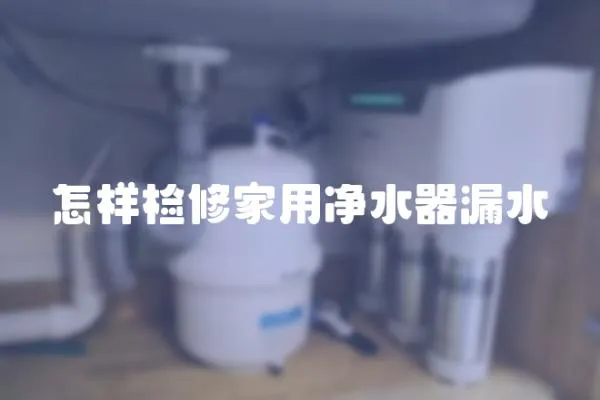 怎样检修家用净水器漏水