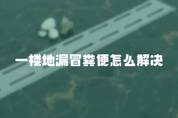 一樓地漏冒糞便怎么解決