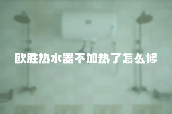 歐勝熱水器不加熱了怎么修