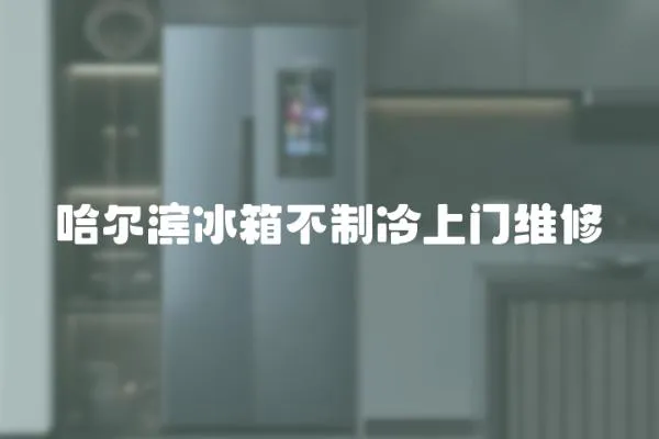 哈爾濱冰箱不制冷上門維修
