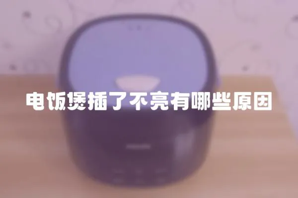 電飯煲插了不亮有哪些原因